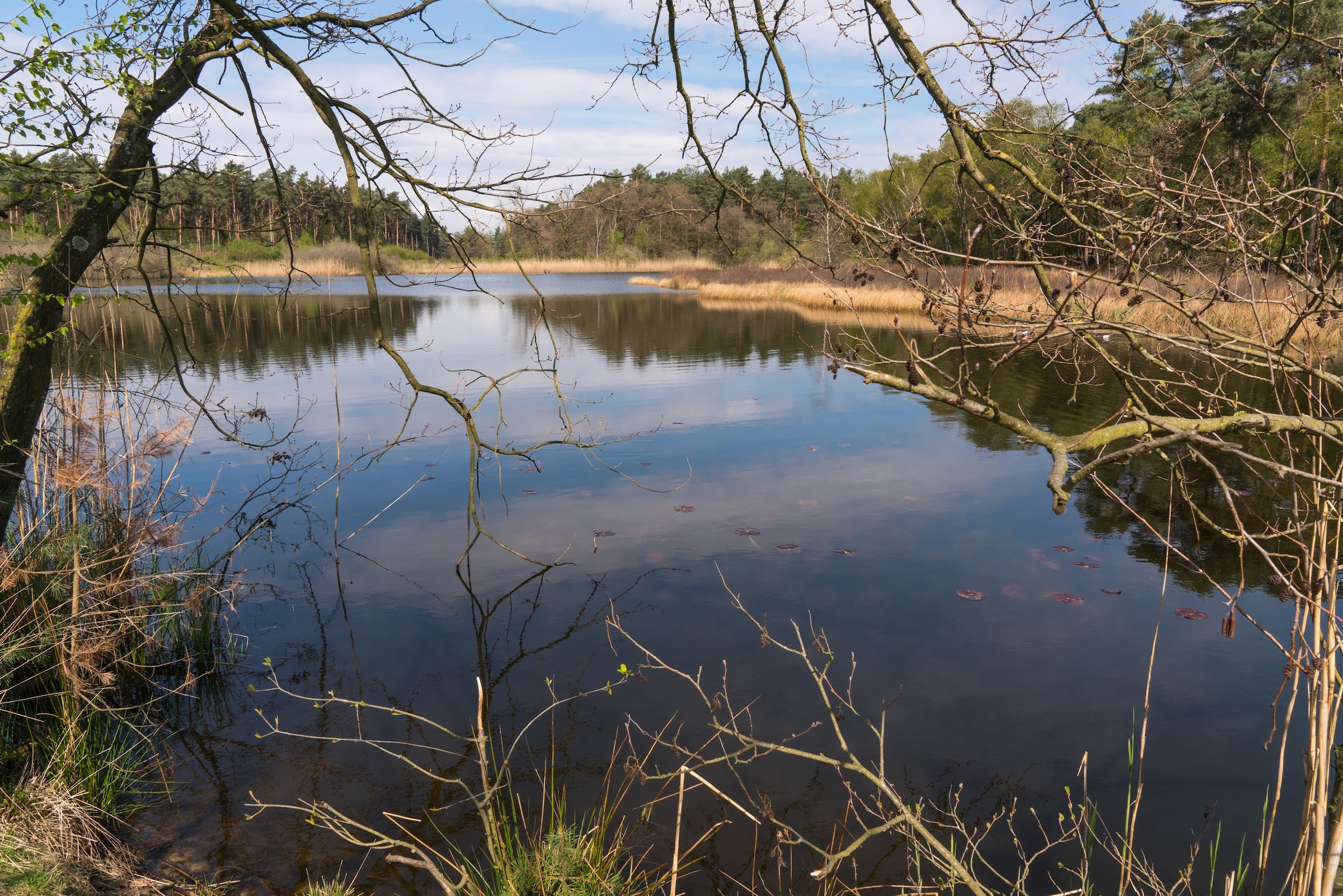 Nationaal Park de Meinweg